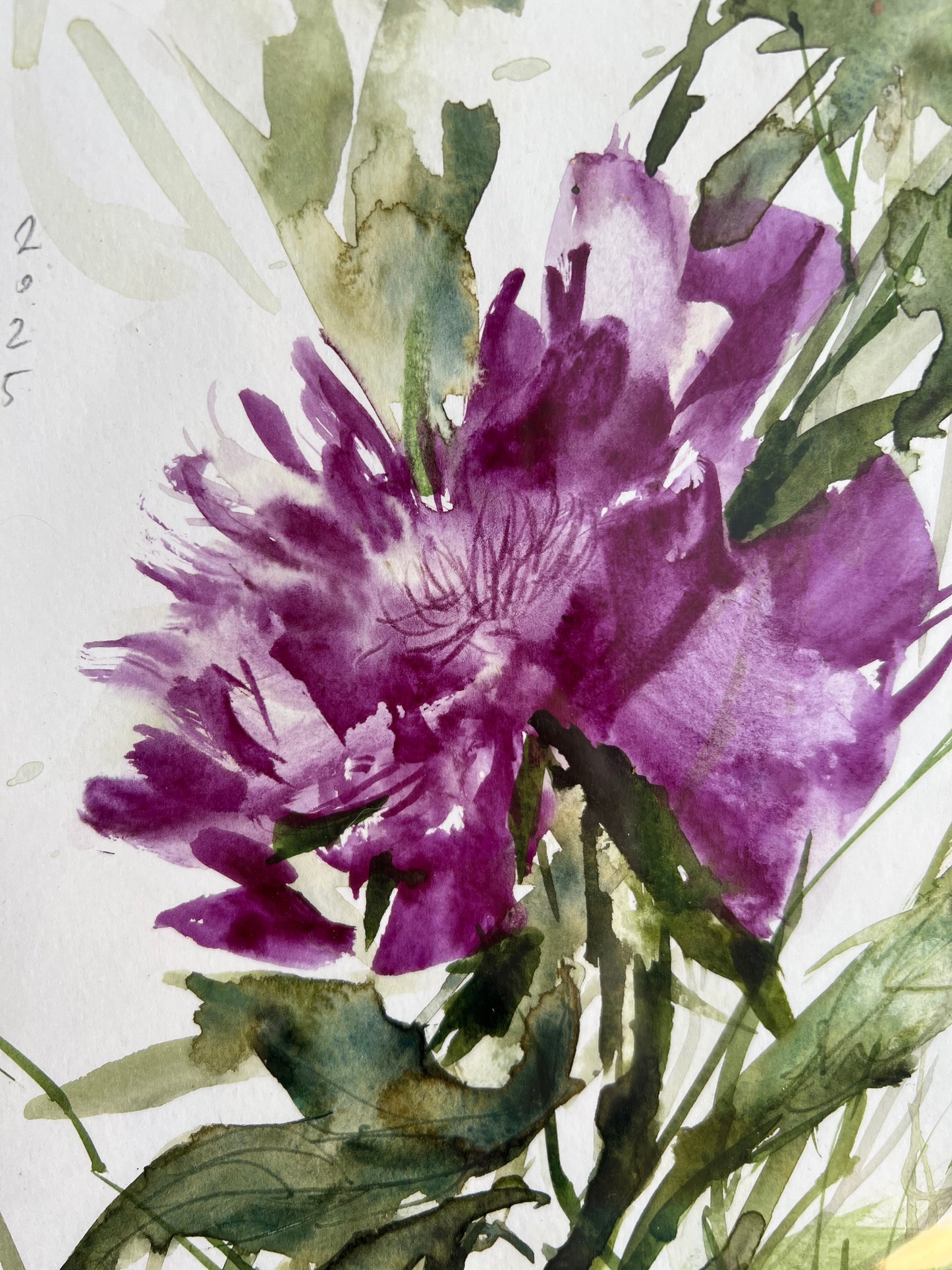Purple peony