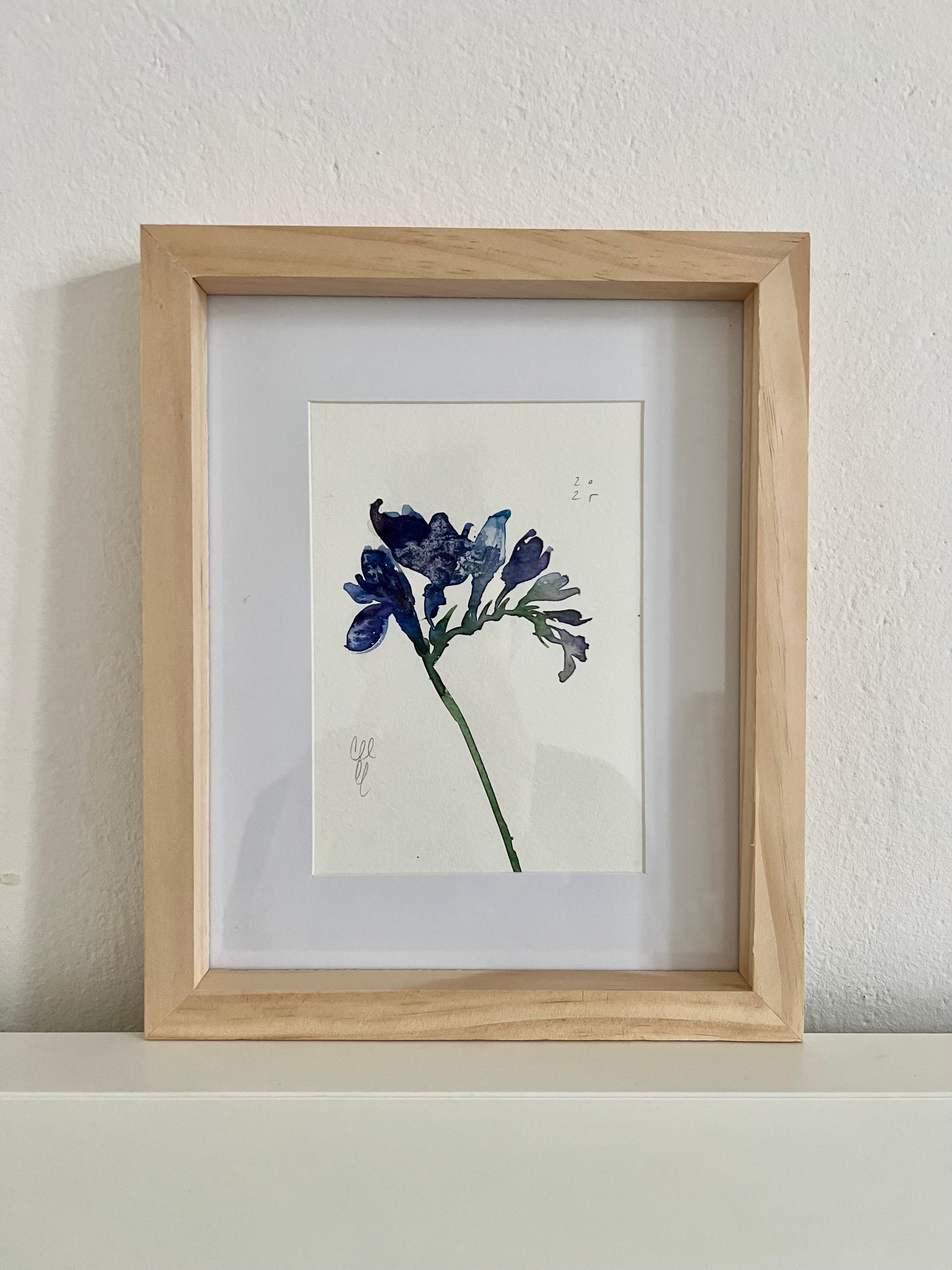 Blue freesia – Aleksandra Sznapka