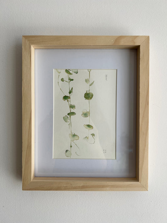 String of hearts (Cerpegia woodi)