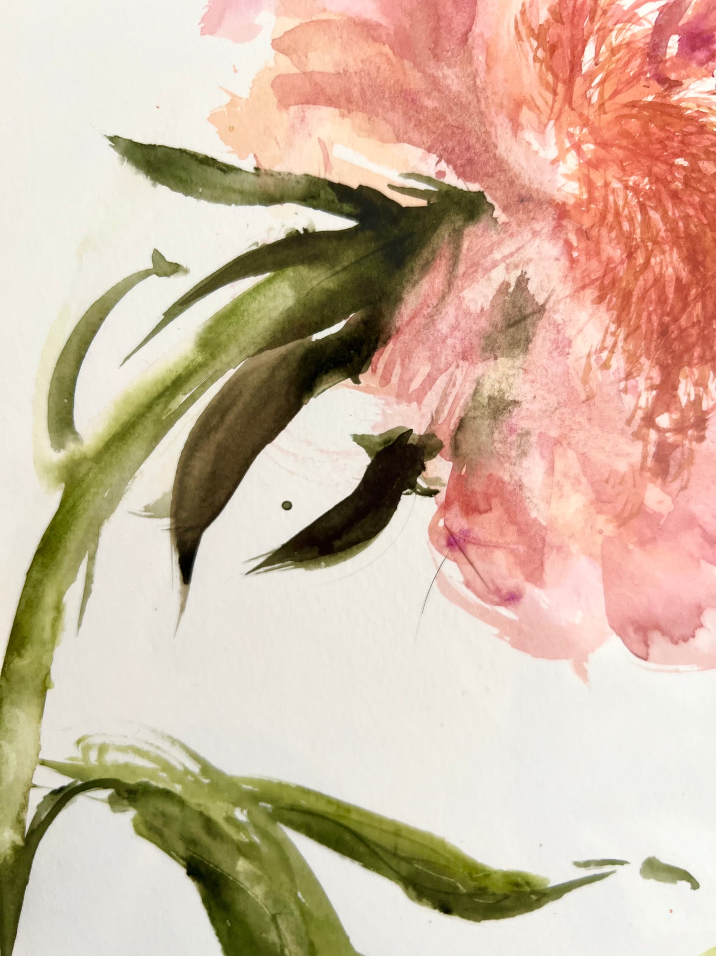 Peach peony III
