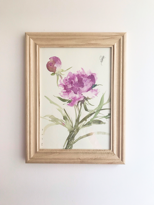 Garden Peony