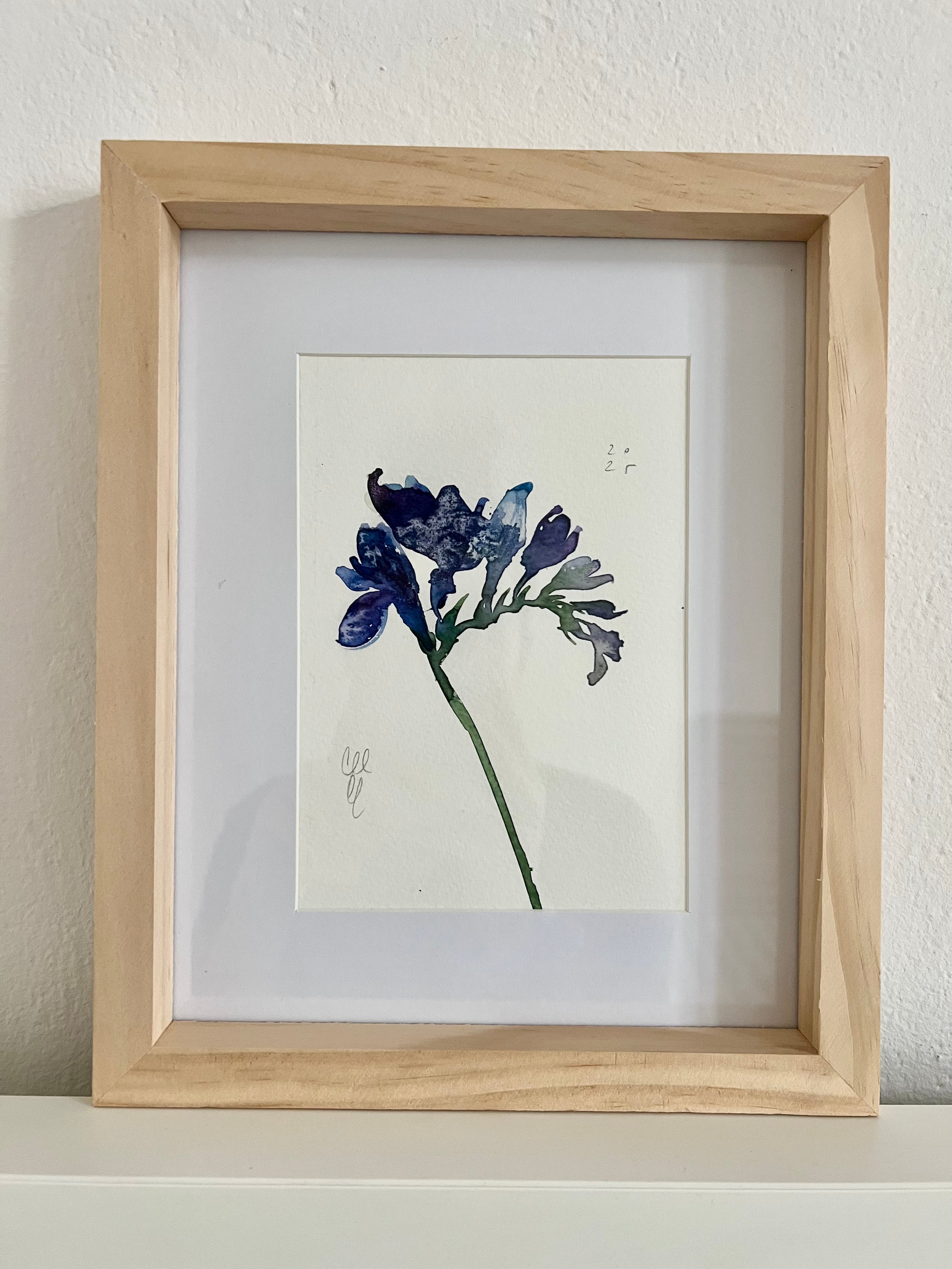 Blue freesia – Aleksandra Sznapka