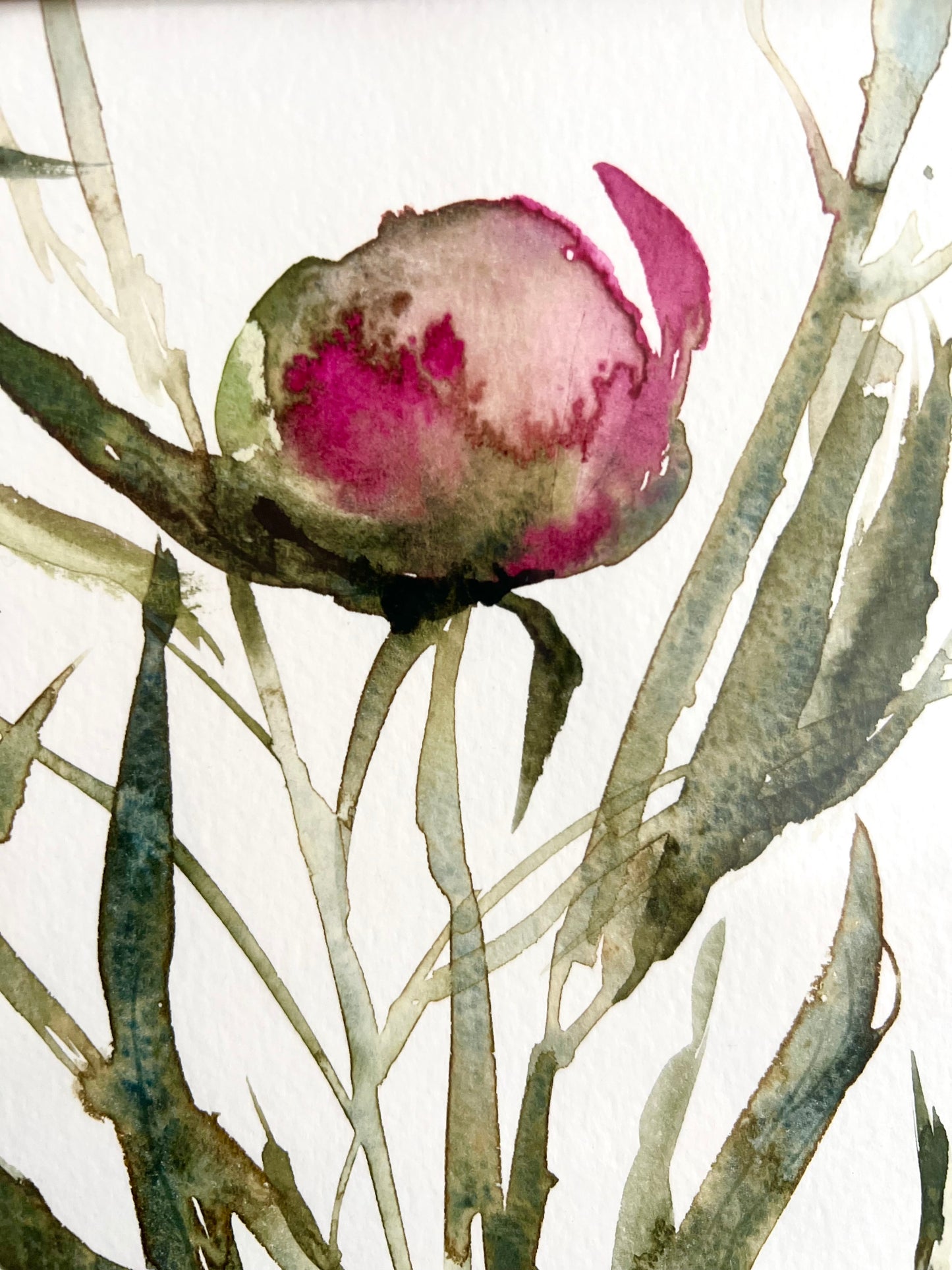 Peony diptich