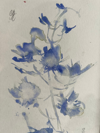 Dreamy delphinium