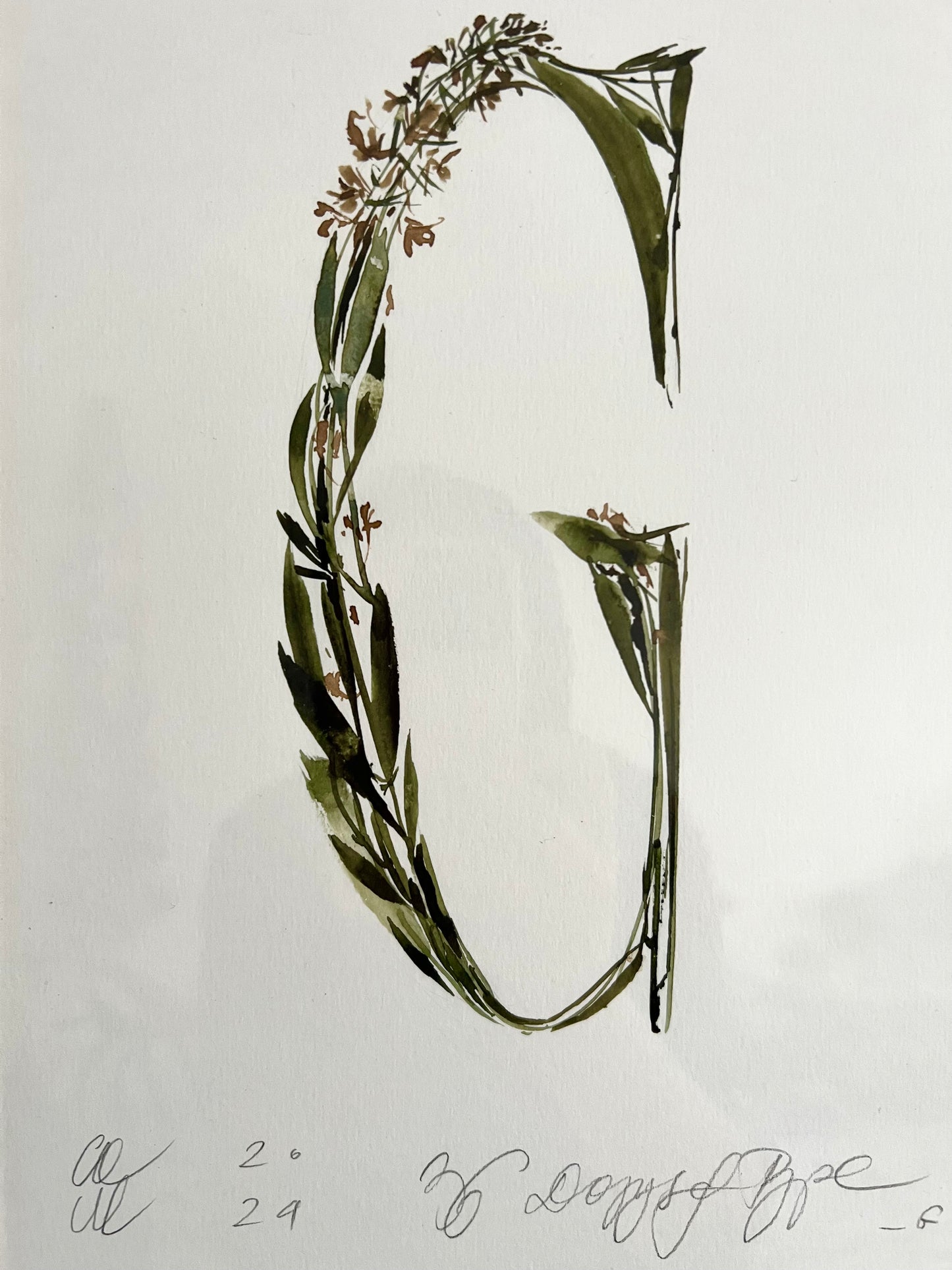 Floral letter „G”