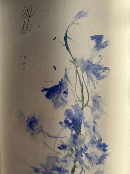 Messy delphinium