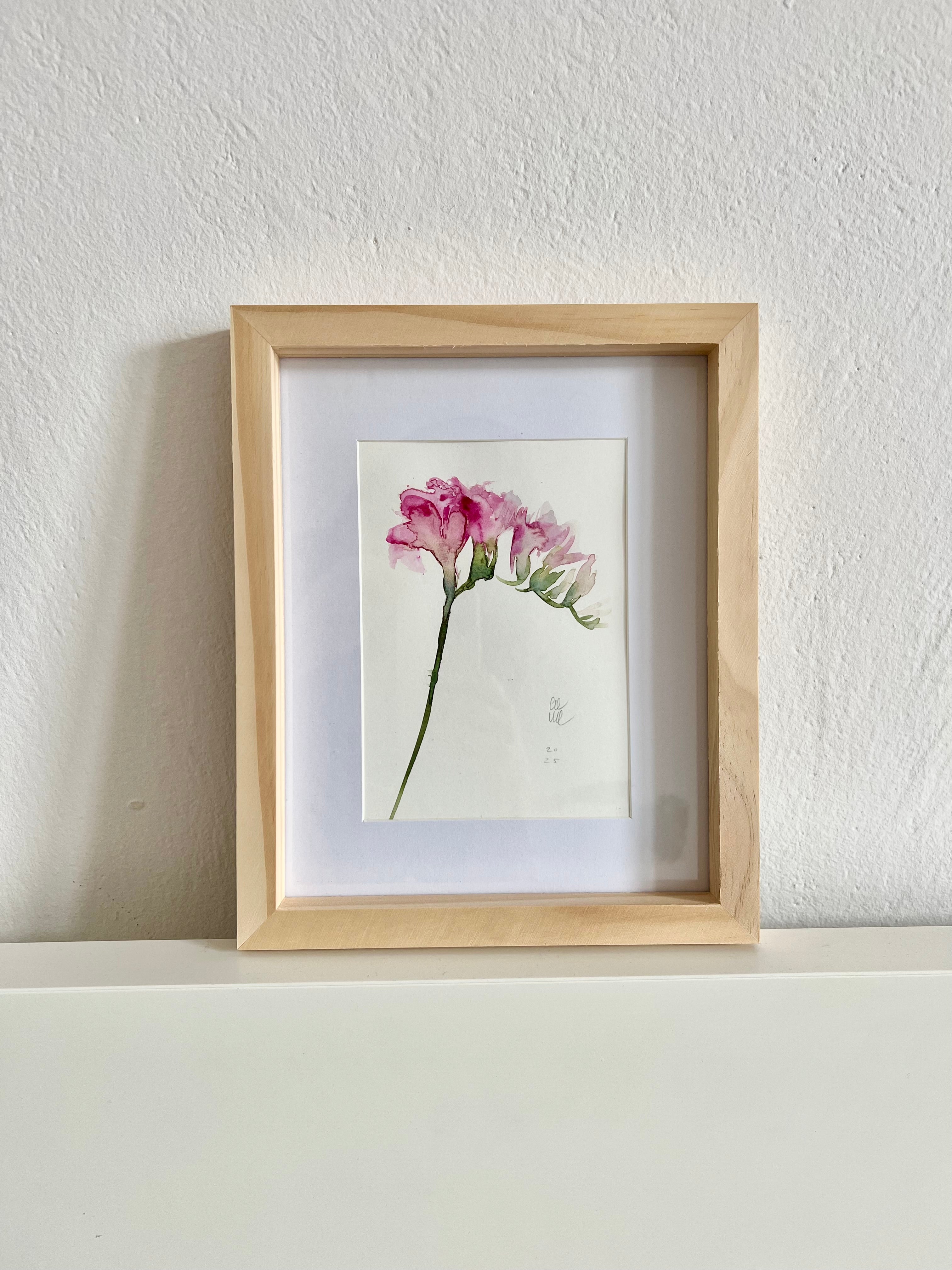 Freesia – Aleksandra Sznapka
