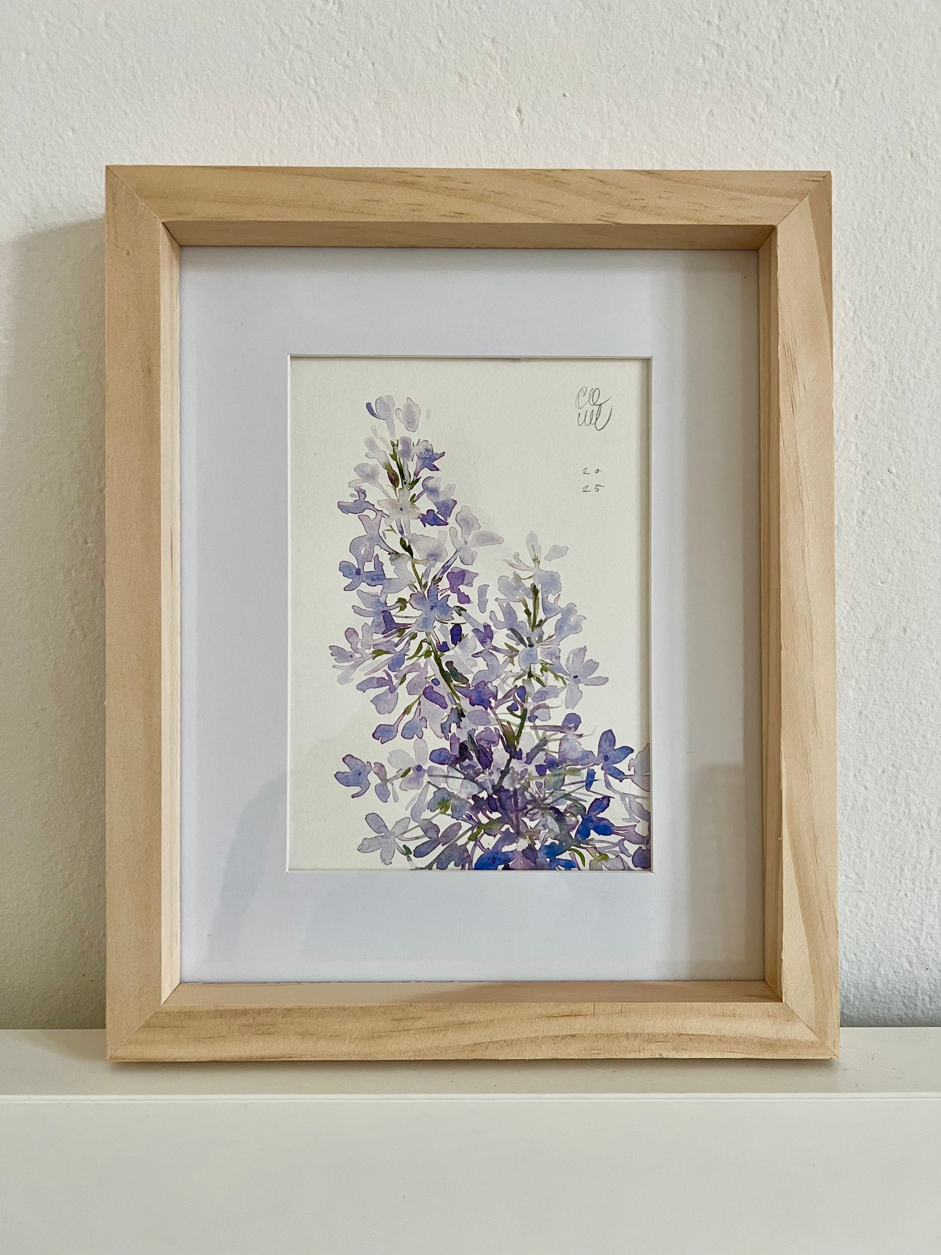 Common lilac – Aleksandra Sznapka