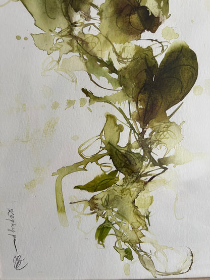 Heart-shaped vine of Corfu