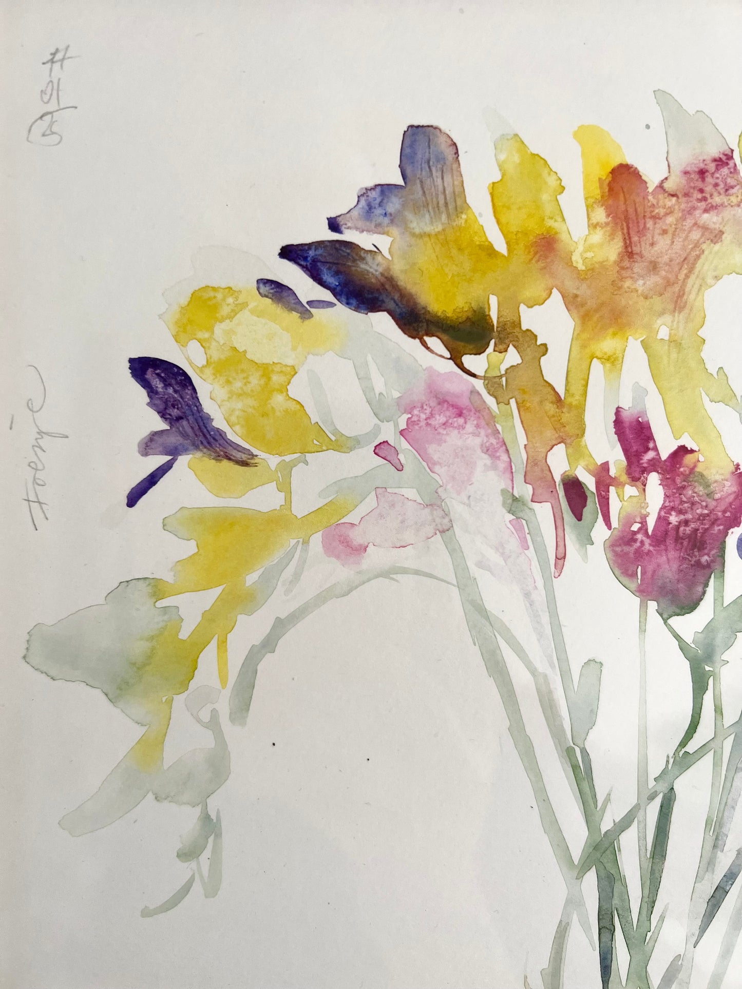 Freesias II