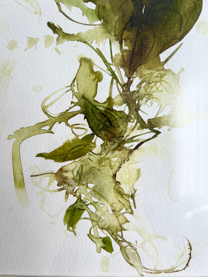 Heart-shaped vine of Corfu