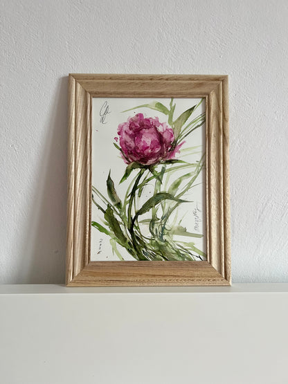 Intense peony