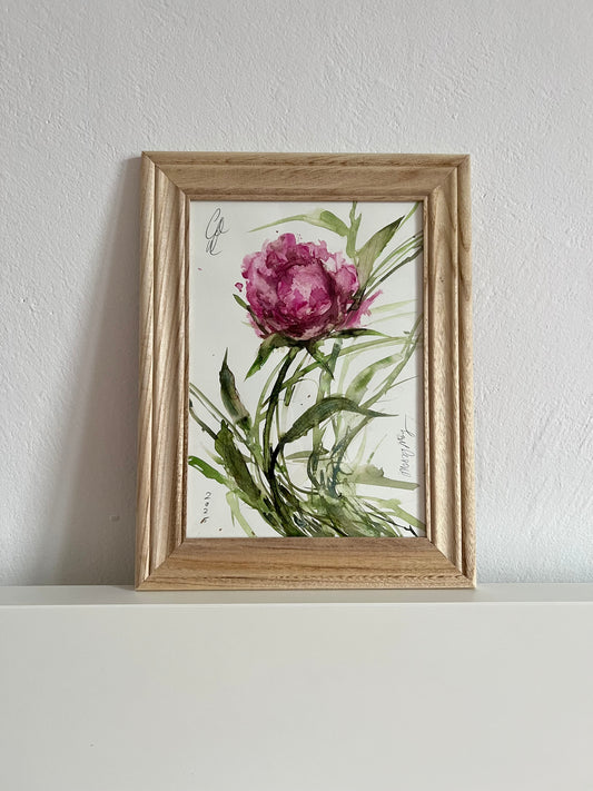Intense peony