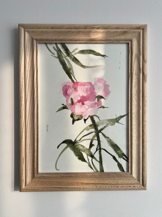 Peony