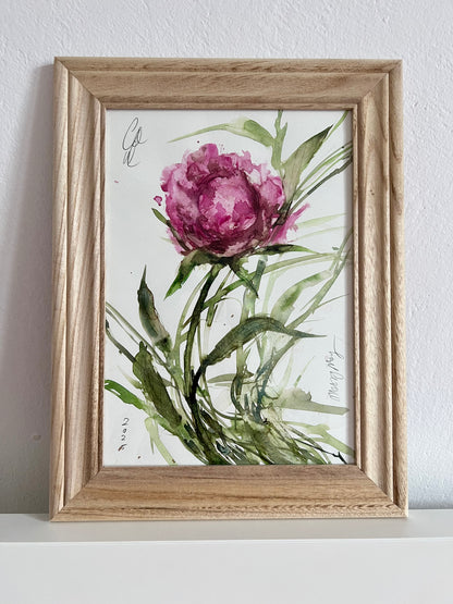 Intense peony