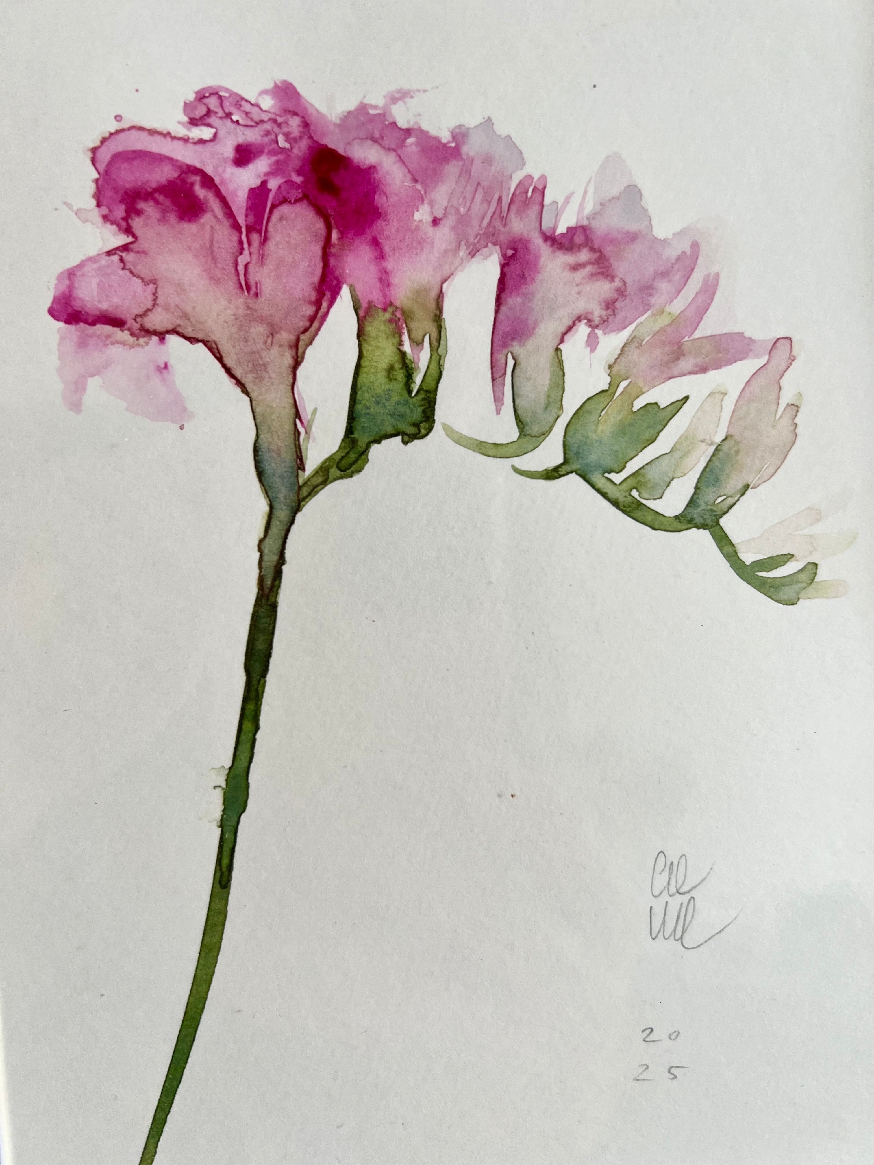 Freesia – Aleksandra Sznapka