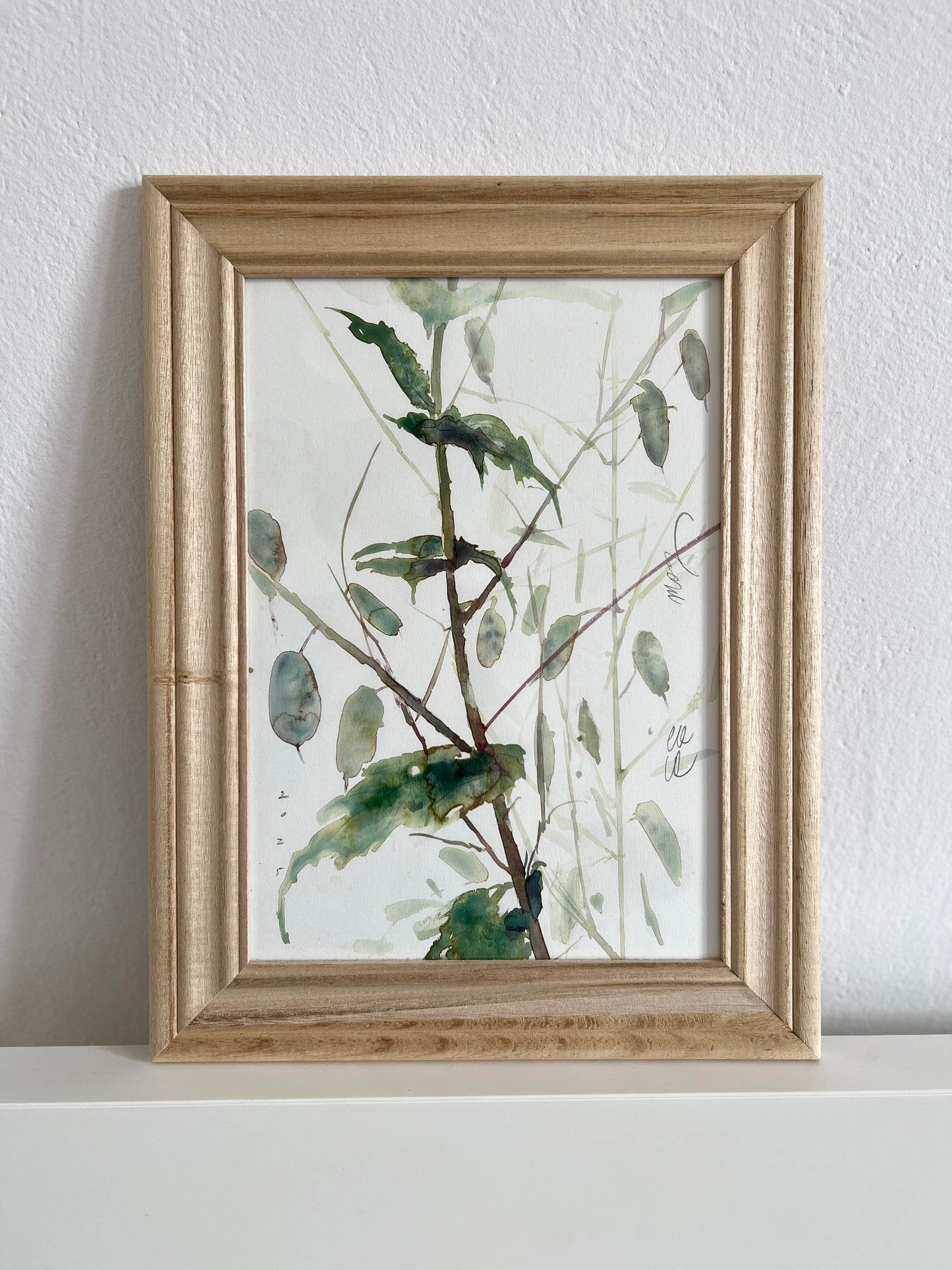 Lunaria’s structures