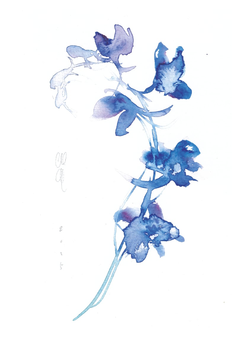 Larkspur postcard | A6 print