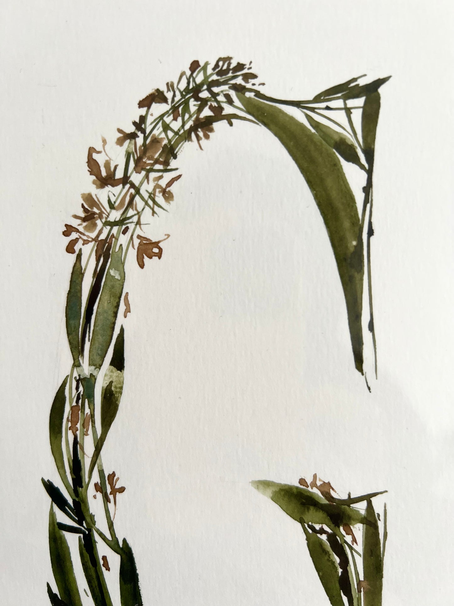 Floral letter „G”