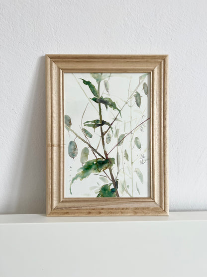 Lunaria’s structures