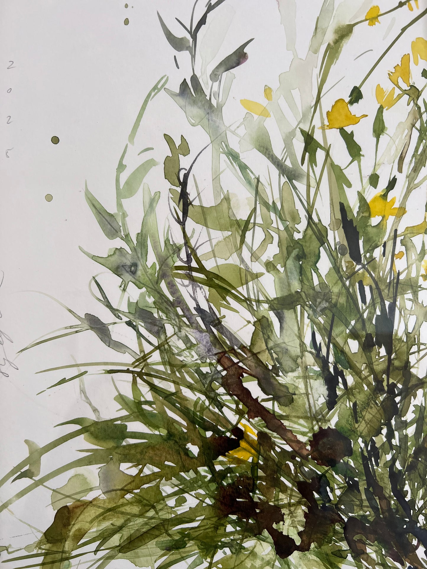 Sidewalk weeds in Sicily