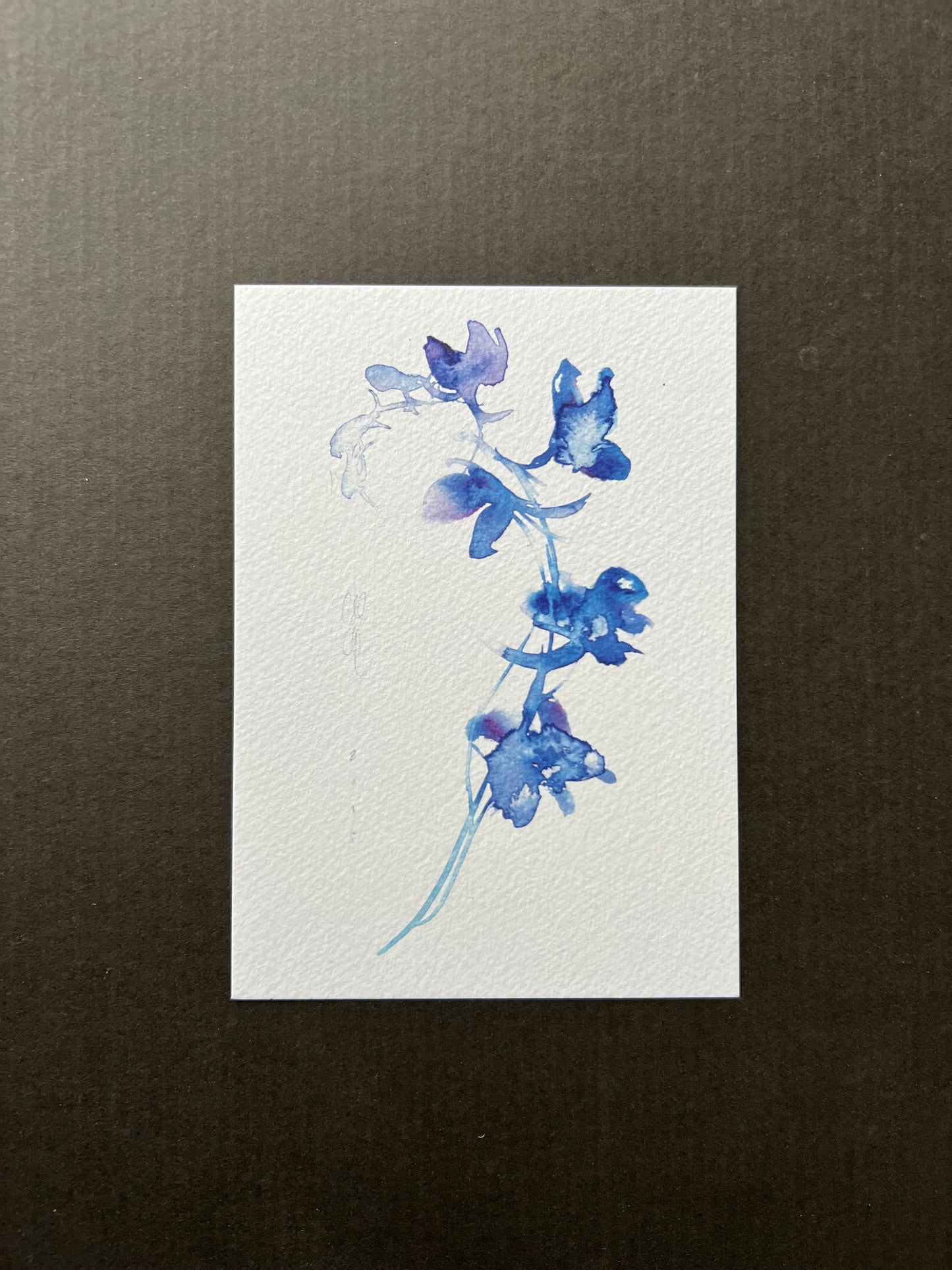 Larkspur postcard | A6 print