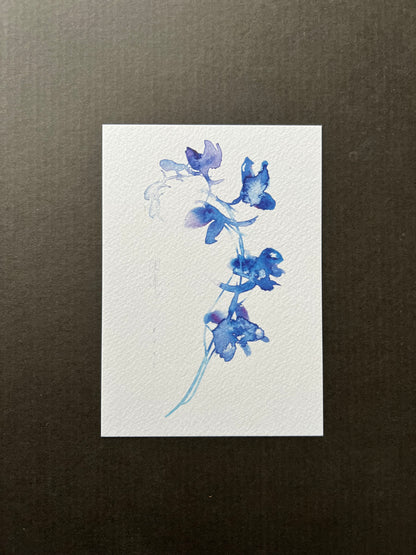 Larkspur postcard | A6 print