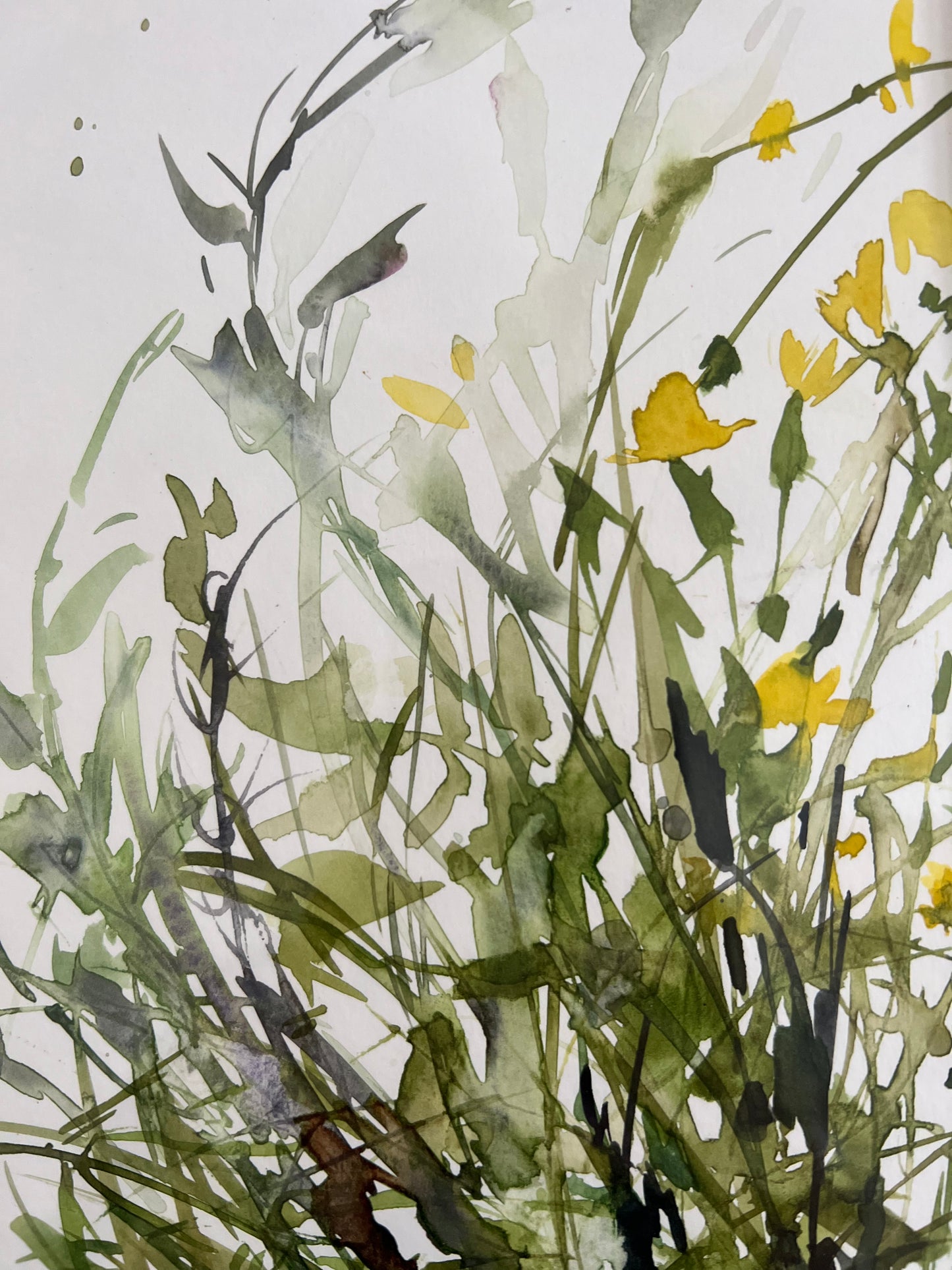 Sidewalk weeds in Sicily