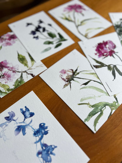 Larkspur postcard | A6 print