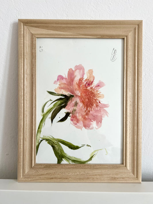 Peach peony III