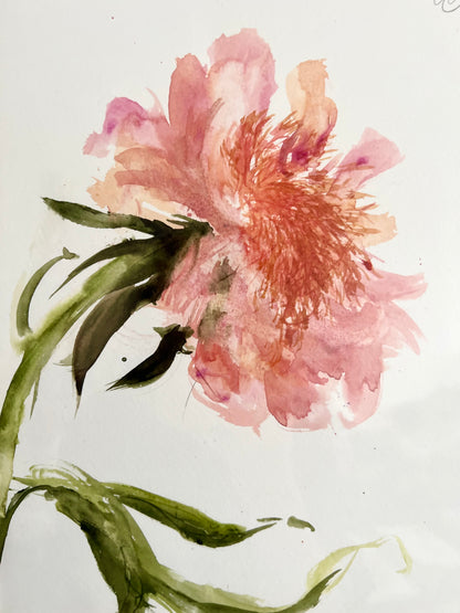 Peach peony III