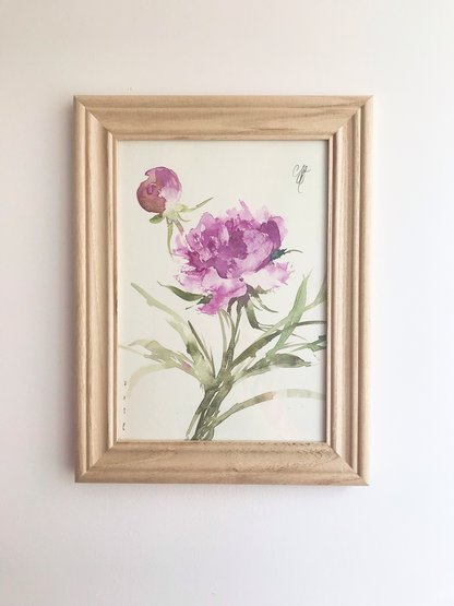 Garden Peony