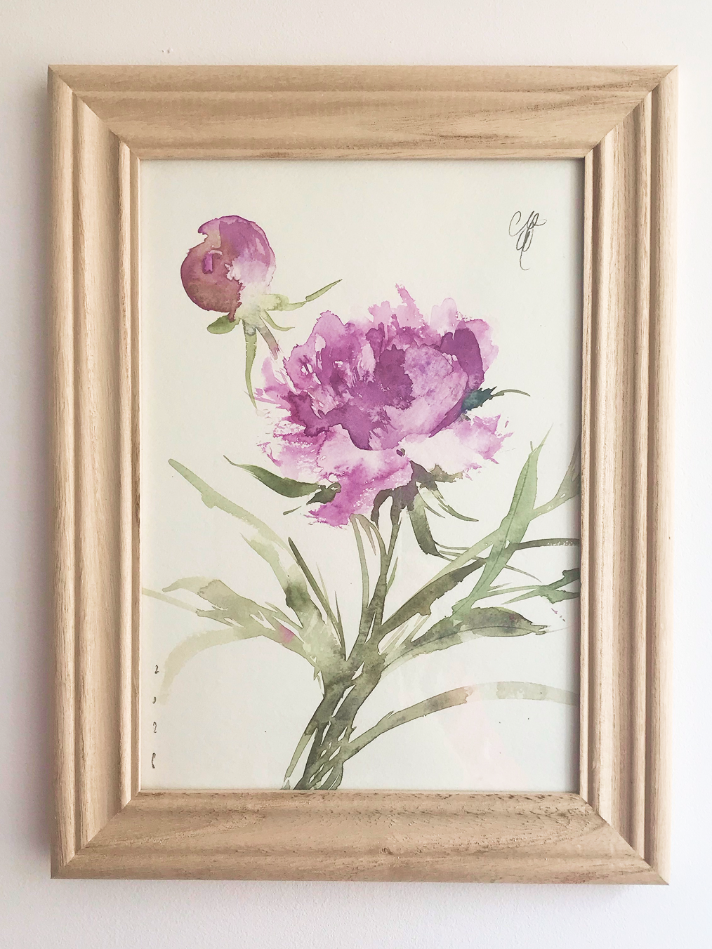 Garden Peony